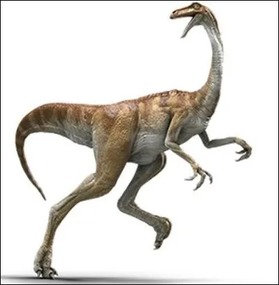 Quel est ce dinosaure ?