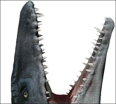 Quel est ce dinosaure ?