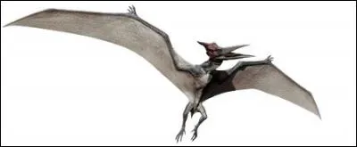 Quel est ce dinosaure ?