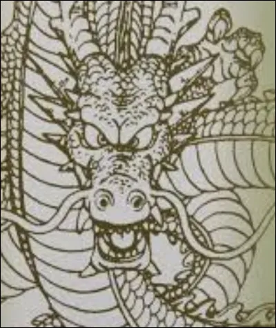 En quelle année le dictionnaire "Dragon Ball" a-t-il été lancé ?