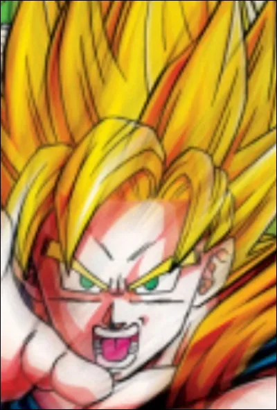 Hormis sur la PS2, sur quelle console sort le jeu ''Dragon Ball Z Budokai Tenkaichi 3'' ?