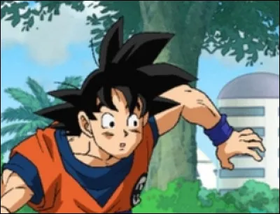 Dans "Dragon Ball Super", un célèbre personnage a fait son apparition, qui est-ce ?