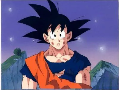 Dans "Dragon Ball Fusions" sur 3DS, Goku fusionne avec quelqu'un, quel est ce personnage ?