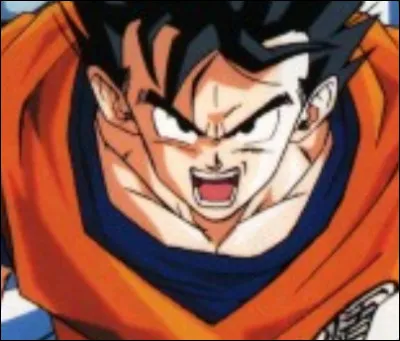 Quel personnage a les mêmes cheveux que Goku ?