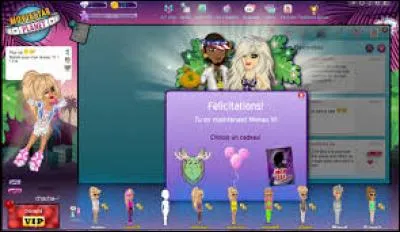 Avant, quel était le plus haut niveau ?