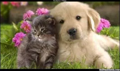 Combustible nucléaire :