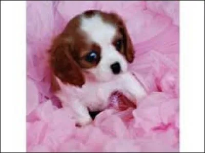 À côté de. Employé dans les noms de localités :