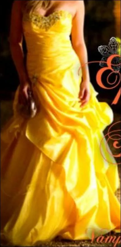 A qui est cette robe ?