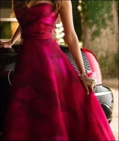 A qui est cette robe ?