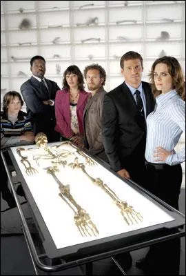 Quel est le titre de cette série ?