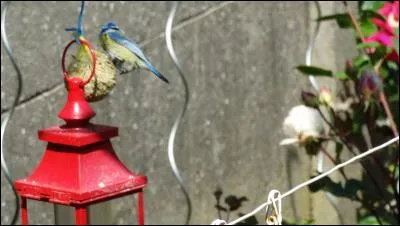 Indices : Enfin le printemps !