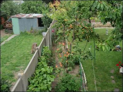 Indice : Coeur de Pirate !