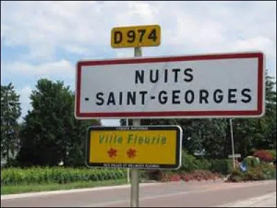 En géographie que désigne "Nuits-Saint-Georges" ?