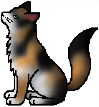 Tiens, puisque dans la question précédente, nous parlions de Pavot Gelé, quel adjectif décrit le mieux le motif de son pelage ?