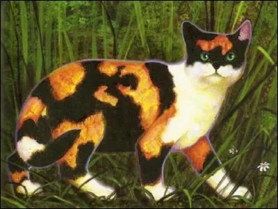 Terminons ce quizz par une image officielle. De qui s'agit-il ?