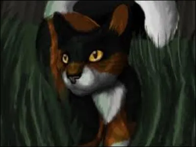 Cette chatte, souvent décrite comme rousse et blanche, est en fait écaille. Qui est-elle ?