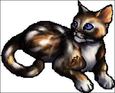 Plume Cendrée et Pluie de Pétales sont toutes les deux écaille-de-tortue pommelé de blanc.