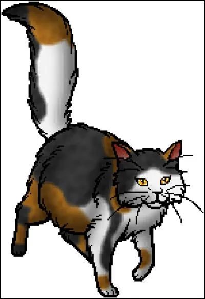 Poil de Châtaigne, est, comme vous le savez, écaille. Quelle est sa description finale, que l'on trouve dans les allégeances au début des livres ?