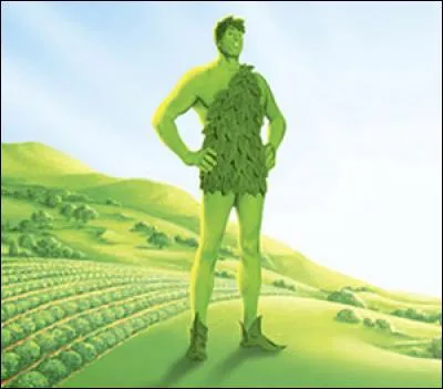 Quels aliments sont commercialisés par la marque "Géant Vert" ?