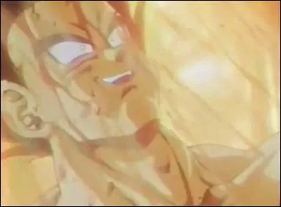 Que voit Bardock à ce moment-là ?