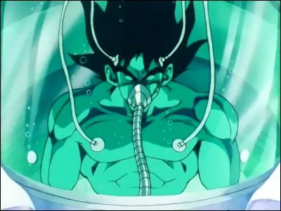 Qui est à l'origine de la substance qui aide à guérir Bardock ?