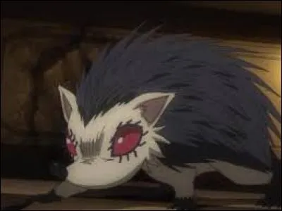 Quel est le nom de la Chain illégale ?