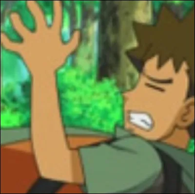 Quel Pokémon empêche Pierre d'être amoureux ?