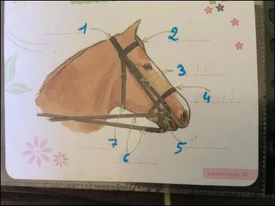 À quoi correspond le numéro 2 ?