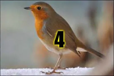 4 - Printemps = amour. Le printemps, vous le savez, c'est la saison des amoureux et de la passion. Sur notre petite planète, beaucoup de gens sont célibataires, et c'est certainement frustrant de voir les oiseaux se faire des bisous, alors que vous roucoulez tout seul sous la couette. Qui a chanté "Zou bisou bisou", d'ailleurs ?