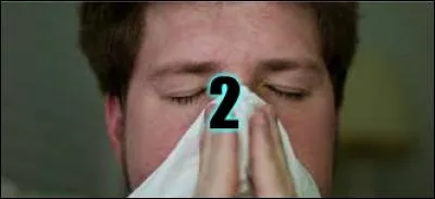 2 - Pollen. Pollen. Pollen ! Le pollen, c'est l'horreur. Des tonnes de gens sont allergiques au pollen, et c'est tout aussi énervant de se moucher tout en continuant de produire de la morve que d'entendre son voisin s'exploser le nez toute la journée. D'ailleurs, ce n'est pas très juste de dire "morve", puisque ce terme désigne à l'origine une maladie :