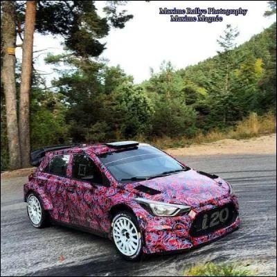 Qui est le pilote de cette magnifique WRC ?