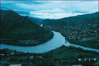 Lequel de ces fleuves traverse la Géorgie ?