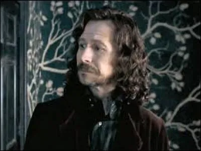 Quels sont les surnoms de Sirius ?