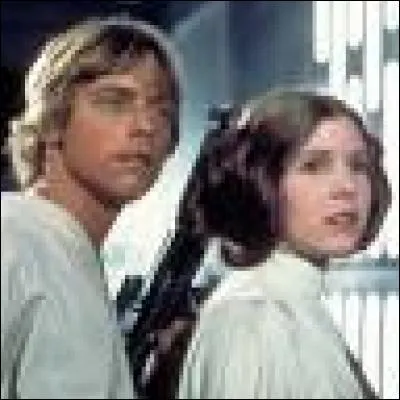 Quel est le lien entre Leia Organa et Luke Skywalker ?