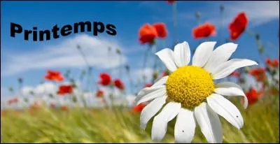 "Printemps" est une chanson de Jenifer.