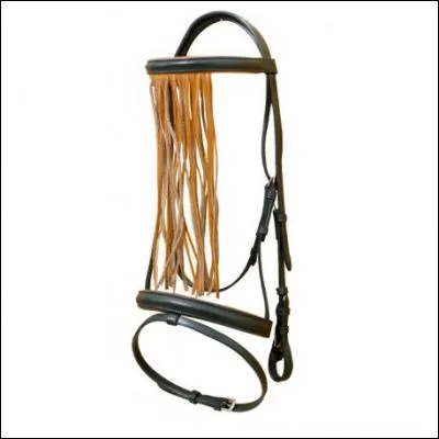 Les bandelettes marron pendent à partir de la têtière.