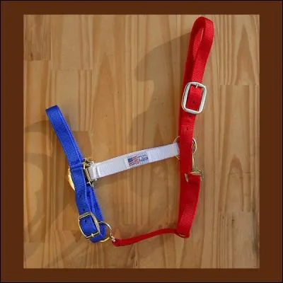 La partie rouge verticale s'appelle la sous-gorge.