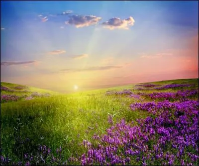 Que marque cette saison ?