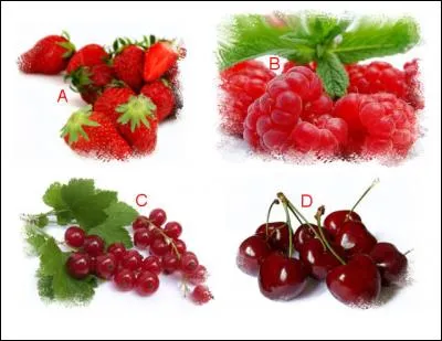 Les « Gariguettes » sont représentées en :