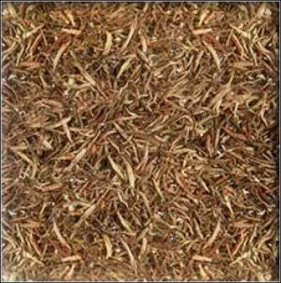 Je suis régénérant et contribue au ralentissement du vieillissement de la peau, je suis :