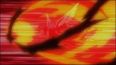 Comment se nomme cette attaque ?