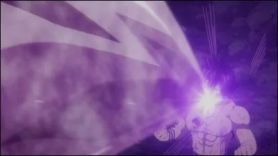 Comment se nomme cette attaque ?