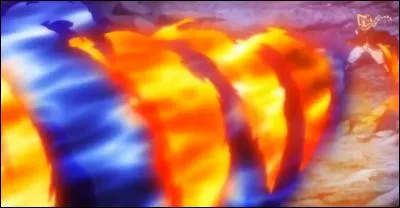 Comment se nomme cette attaque ?