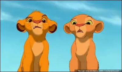 Simba et Nala sont :