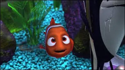 Dans "Nemo" qui sont ses trois camarades de classe ?