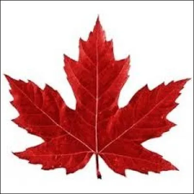 Cet objet fait penser à quel pays ?