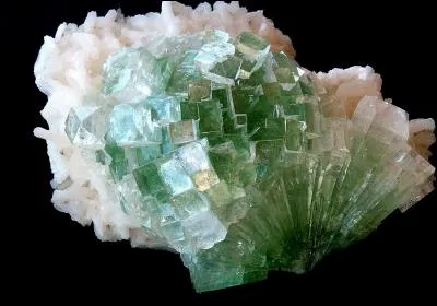 Visite du musée des pierres précieuses, ils ont une belle collection de minéraux. Comment appelle- t-on les personnes qui collectionnent les minéraux précieux ?