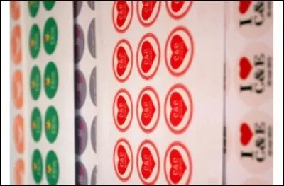 Elle ouvrit sa trousse remplie d'autocollants. Il existe un nom pour les personnes qui collectionnent les autocollants, c'est :