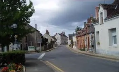Crouy-sur-Cosson est un village du Loir-et-Cher situé en région ...