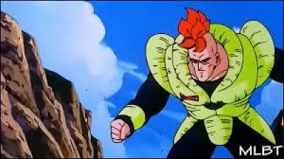 Quel est ce cyborg ?